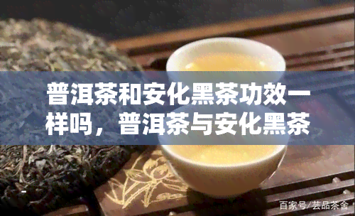 普洱茶和安化黑茶功效一样吗，普洱茶与安化黑茶：功效有何异同？