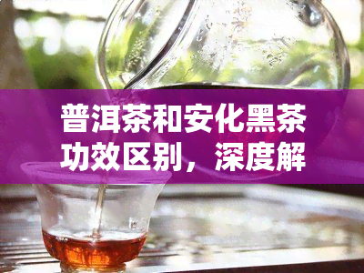 普洱茶和安化黑茶功效区别，深度解析：普洱茶与安化黑茶的六大功效区别