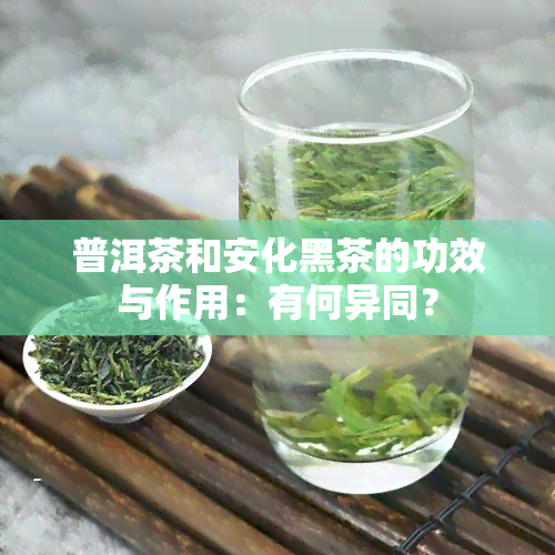 普洱茶和安化黑茶的功效与作用：有何异同？