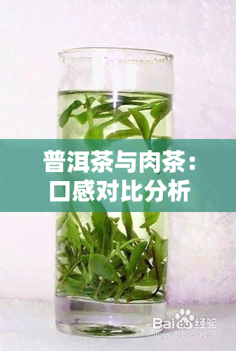 普洱茶与肉茶：口感对比分析