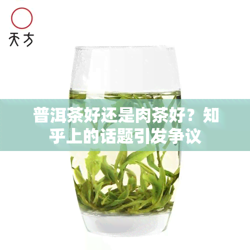 普洱茶好还是肉茶好？知乎上的话题引发争议