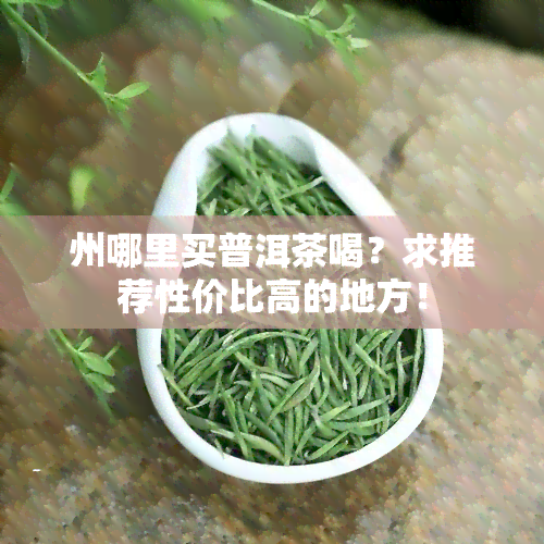 州哪里买普洱茶喝？求推荐性价比高的地方！