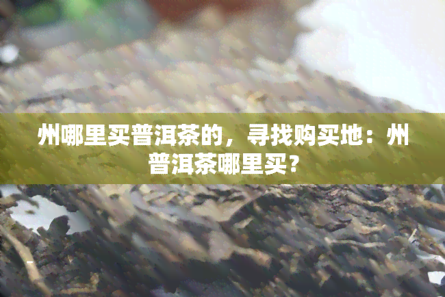 州哪里买普洱茶的，寻找购买地：州普洱茶哪里买？