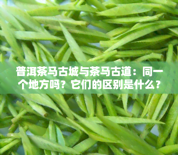 普洱茶马古城与茶马古道：同一个地方吗？它们的区别是什么？