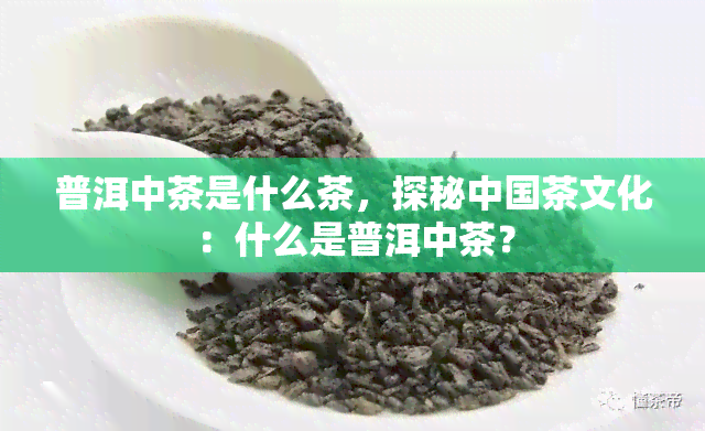 普洱中茶是什么茶，探秘中国茶文化：什么是普洱中茶？