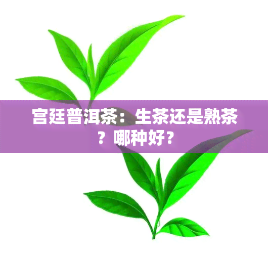 宫廷普洱茶：生茶还是熟茶？哪种好？