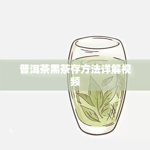 普洱茶黑茶存方法详解视频