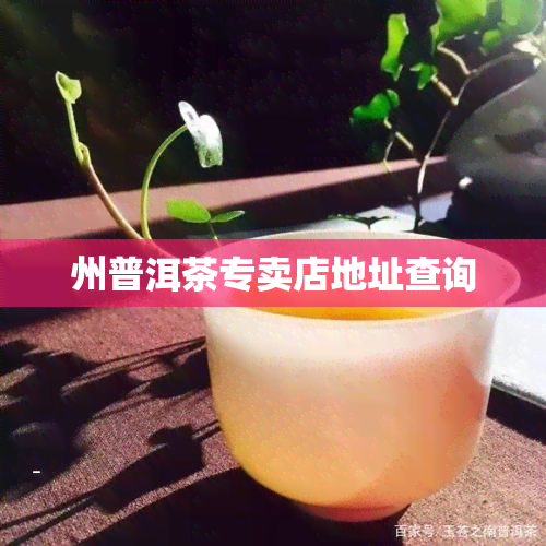 州普洱茶专卖店地址查询