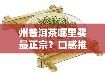 州普洱茶哪里买最正宗？口感推荐！