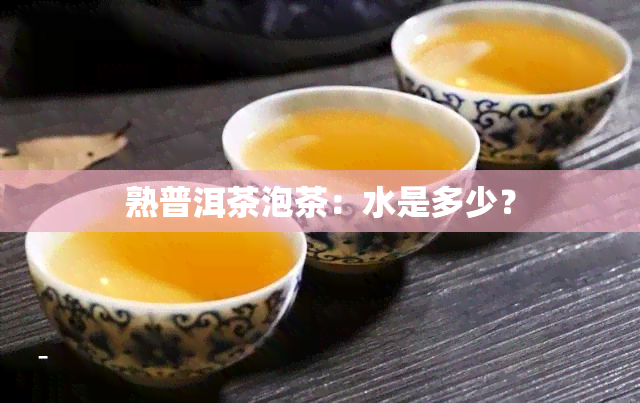 熟普洱茶泡茶：水是多少？