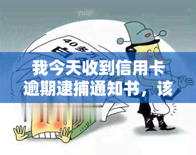 我今天收到信用卡逾期逮捕通知书，该怎么办？