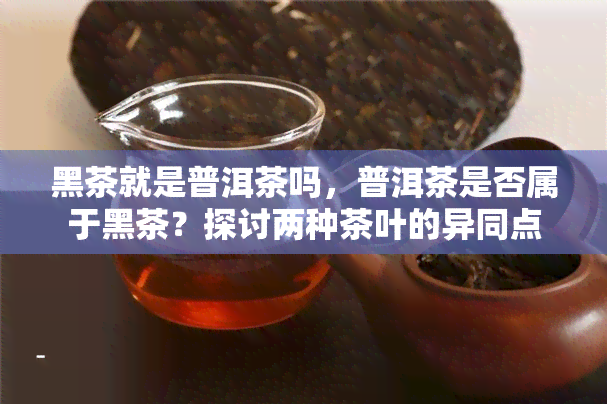 黑茶就是普洱茶吗，普洱茶是否属于黑茶？探讨两种茶叶的异同点