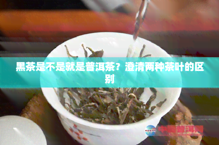 黑茶是不是就是普洱茶？澄清两种茶叶的区别