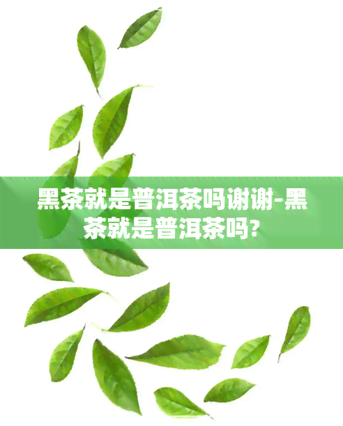 黑茶就是普洱茶吗谢谢-黑茶就是普洱茶吗?