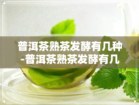 普洱茶熟茶发酵有几种-普洱茶熟茶发酵有几种方法