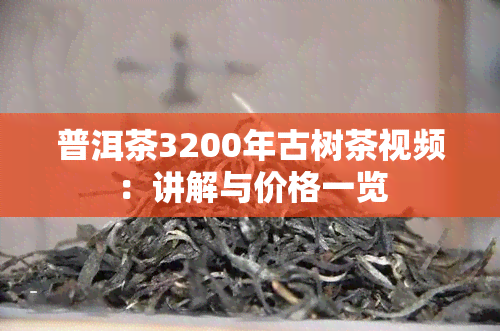 普洱茶3200年古树茶视频：讲解与价格一览