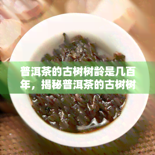 普洱茶的古树树龄是几百年，揭秘普洱茶的古树树龄：历悠久，口感独特！