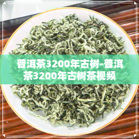 普洱茶3200年古树-普洱茶3200年古树茶视频