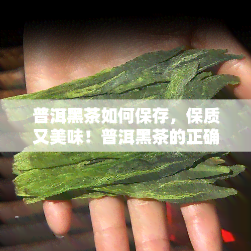 普洱黑茶如何保存，保质又美味！普洱黑茶的正确保存方法大揭秘