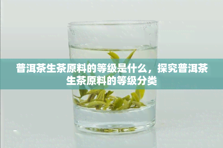 普洱茶生茶原料的等级是什么，探究普洱茶生茶原料的等级分类