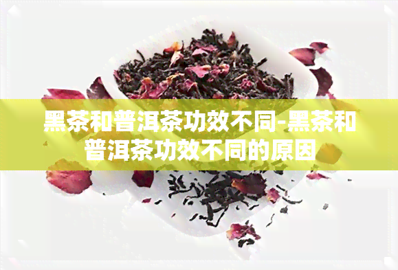 黑茶和普洱茶功效不同-黑茶和普洱茶功效不同的原因