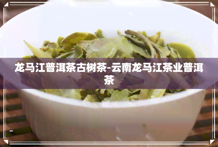 龙马江普洱茶古树茶-云南龙马江茶业普洱茶