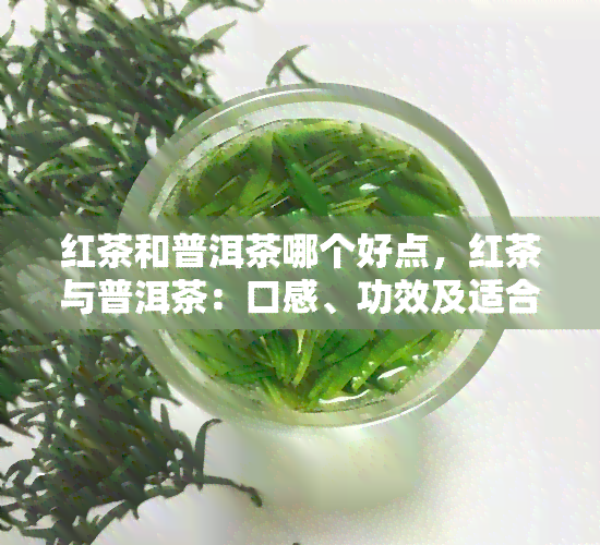 红茶和普洱茶哪个好点，红茶与普洱茶：口感、功效及适合人群的全面对比