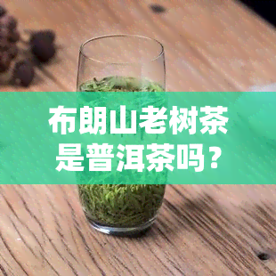 布朗山老树茶是普洱茶吗？探讨其身份与分类