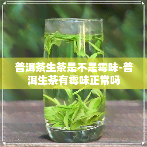 普洱茶生茶是不是霉味-普洱生茶有霉味正常吗