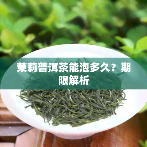 茉莉普洱茶能泡多久？期限解析