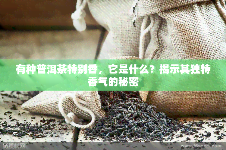 有种普洱茶特别香，它是什么？揭示其独特香气的秘密