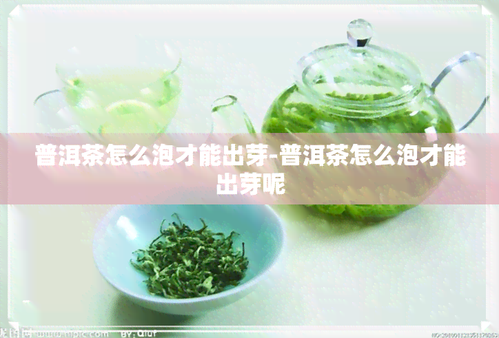 普洱茶怎么泡才能出芽-普洱茶怎么泡才能出芽呢