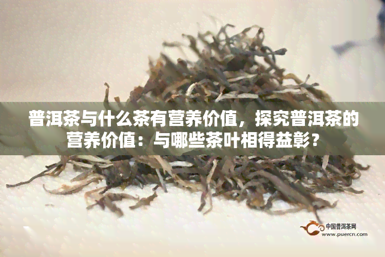 普洱茶与什么茶有营养价值，探究普洱茶的营养价值：与哪些茶叶相得益彰？