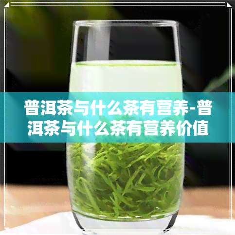 普洱茶与什么茶有营养-普洱茶与什么茶有营养价值