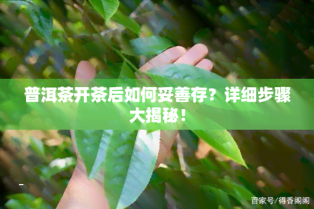 普洱茶开茶后如何妥善存？详细步骤大揭秘！