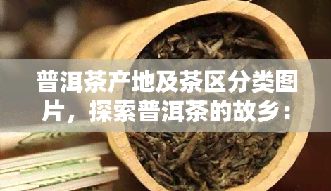 普洱茶产地及茶区分类图片，探索普洱茶的故乡：详解其产地和茶区分类的精美图片