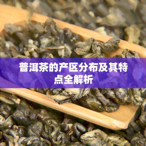 普洱茶的产区分布及其特点全解析