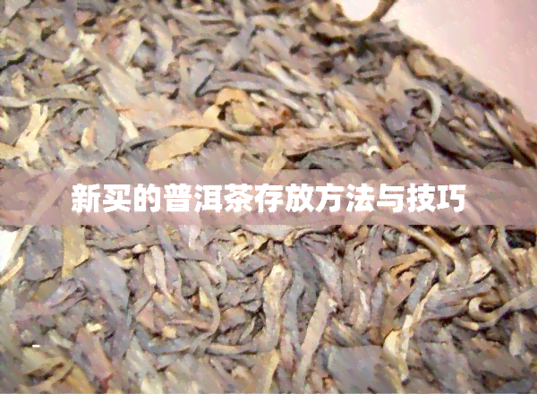 新买的普洱茶存放方法与技巧