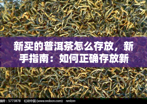 新买的普洱茶怎么存放，新手指南：如何正确存放新买的普洱茶？