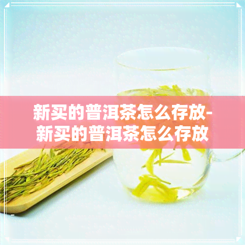 新买的普洱茶怎么存放-新买的普洱茶怎么存放