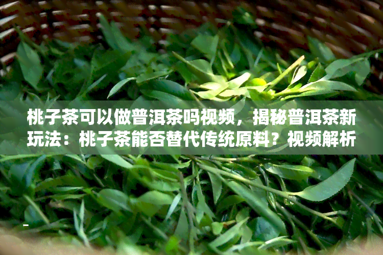 桃子茶可以做普洱茶吗视频，揭秘普洱茶新玩法：桃子茶能否替代传统原料？视频解析