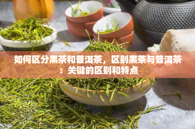 如何区分黑茶和普洱茶，区别黑茶与普洱茶：关键的区别和特点