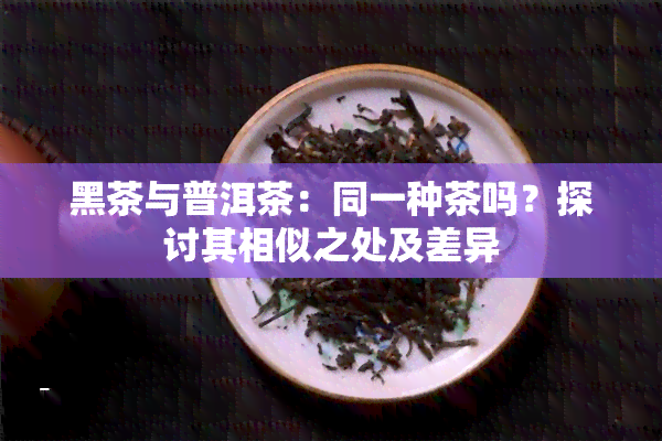 黑茶与普洱茶：同一种茶吗？探讨其相似之处及差异