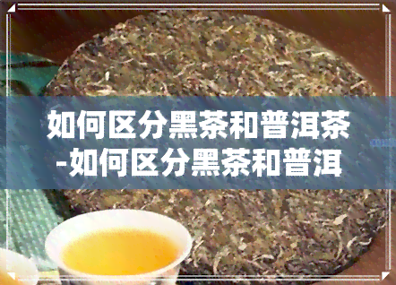 如何区分黑茶和普洱茶-如何区分黑茶和普洱茶的区别