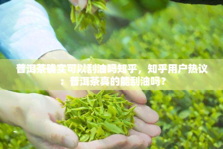 普洱茶确实可以刮油吗知乎，知乎用户热议：普洱茶真的能刮油吗？