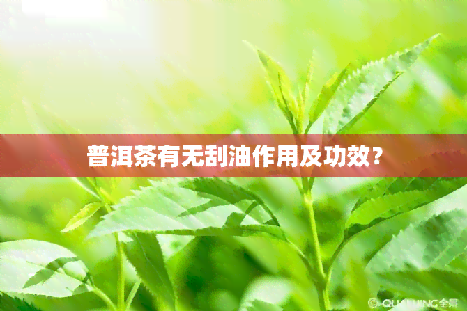 普洱茶有无刮油作用及功效？