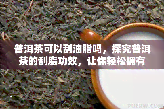 普洱茶可以刮油脂吗，探究普洱茶的刮脂功效，让你轻松拥有健体态！