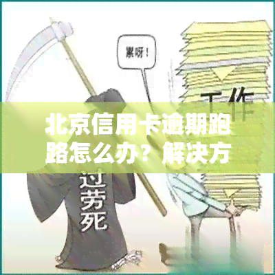 北京信用卡逾期跑路怎么办？解决方法及流程全攻略