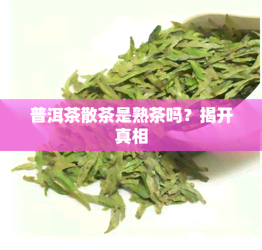 普洱茶散茶是熟茶吗？揭开真相