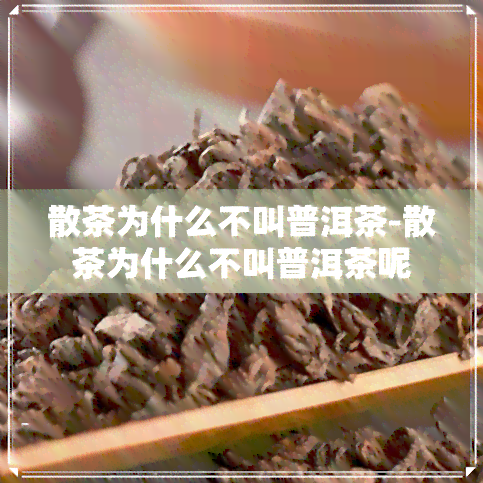 散茶为什么不叫普洱茶-散茶为什么不叫普洱茶呢